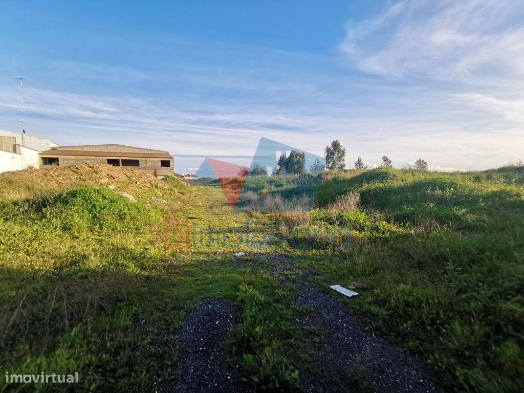 Terreno Rústico Venda Beja - Grande imagem: 2/4