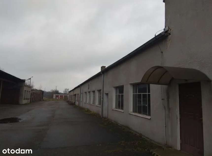 Budynek biurowo - warsztatowy - Białogard wynajem - Pełny obrazek: 5/7