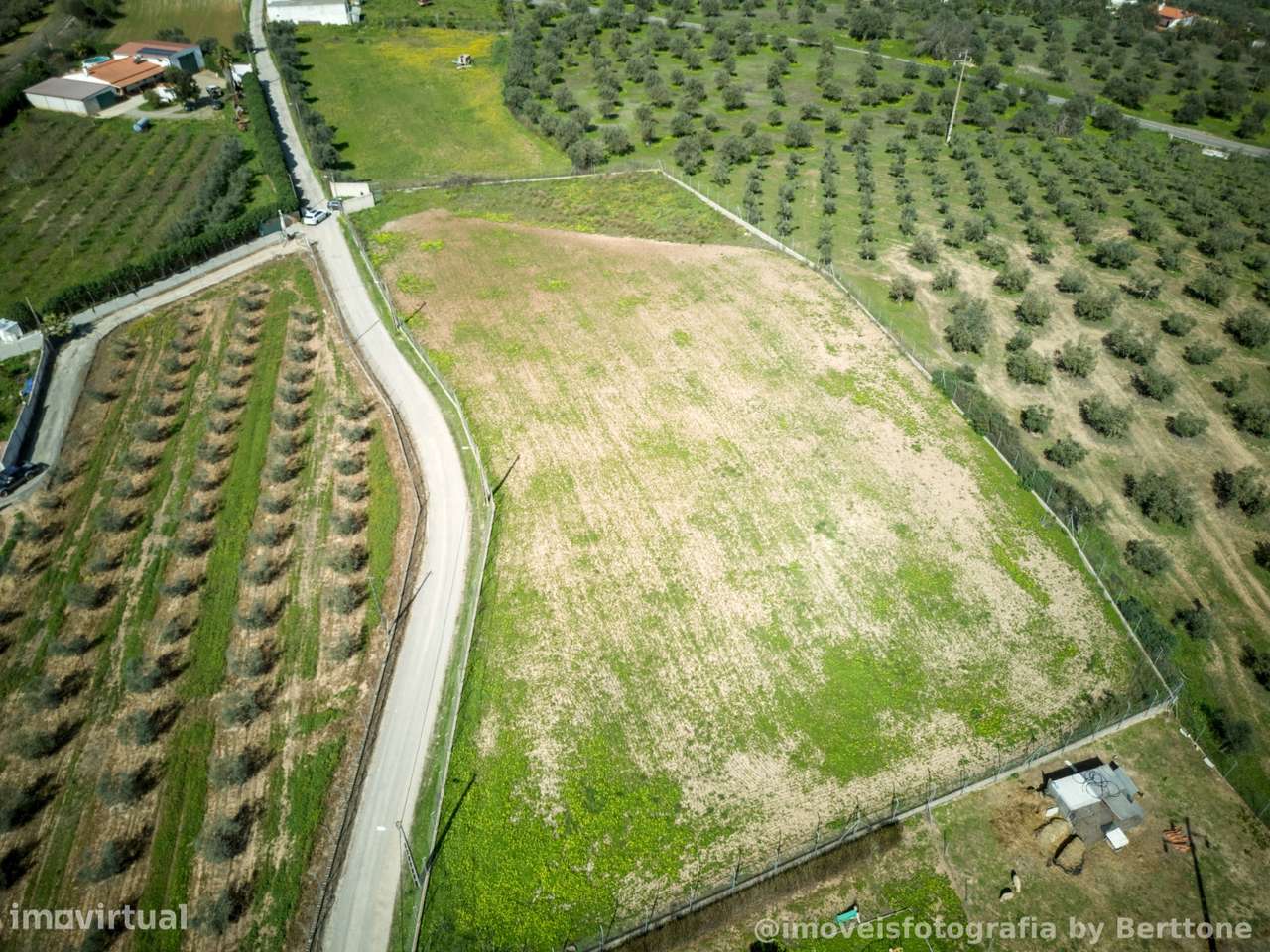 Terreno rustico murado de 7.130 m² em Moura - Grande imagem: 2/6
