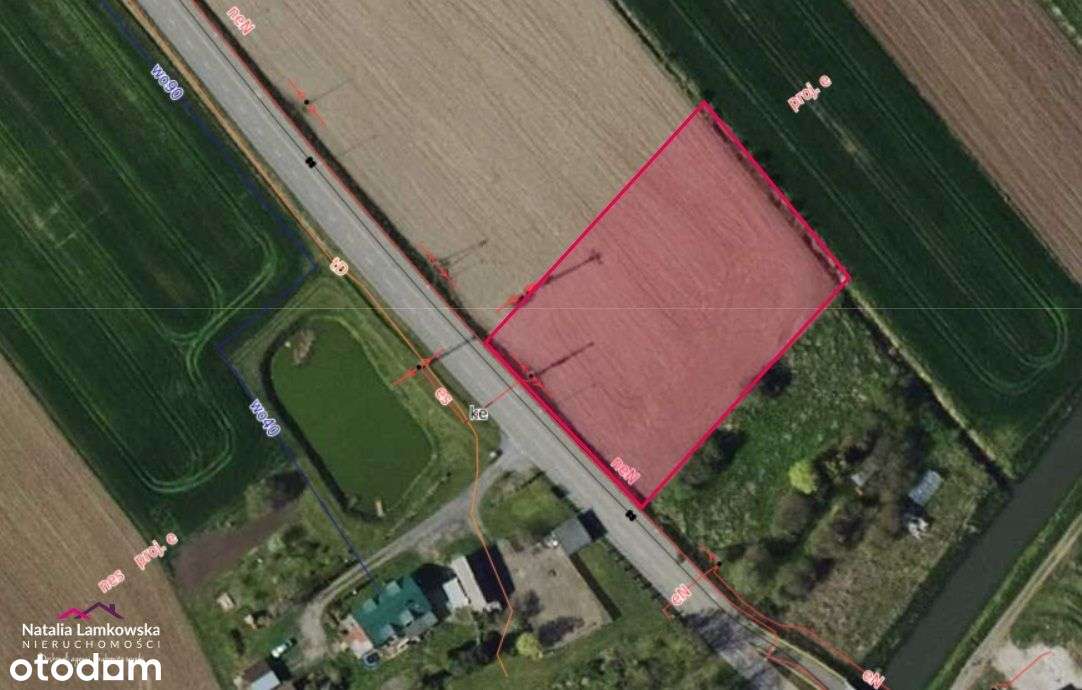 Szynych*działka rolna z możliwością podziału - Pełny obrazek: 5/5