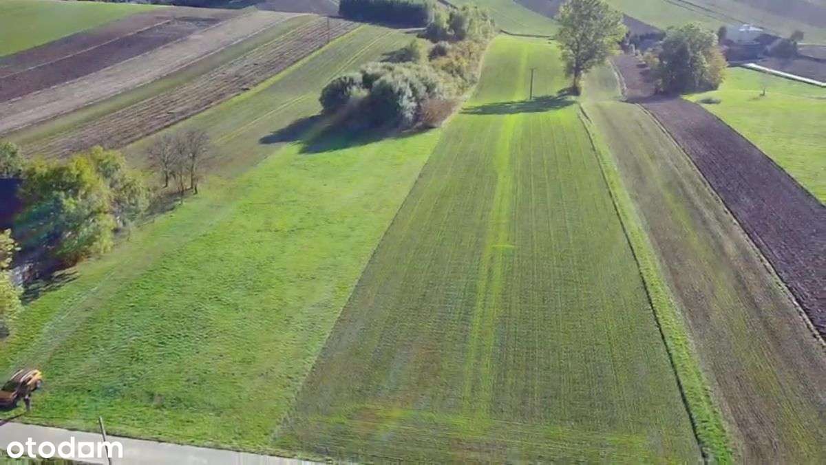 Działka w Tarnawie - Pełny obrazek: 5/11