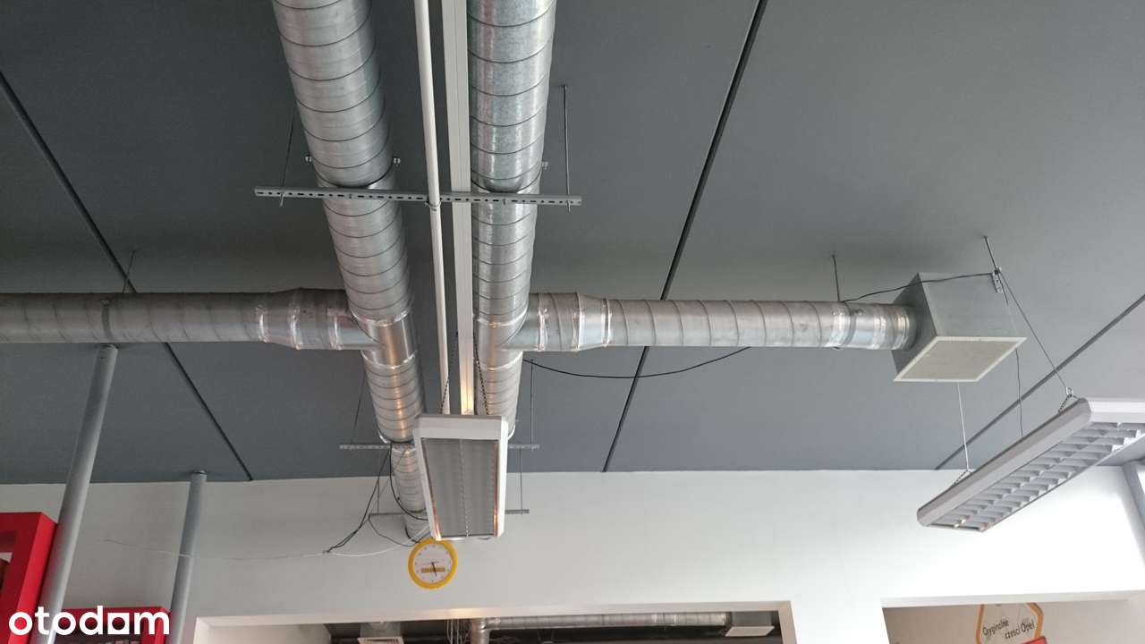 Lokal usługowo-handlowy w centrum - Pełny obrazek: 5/8