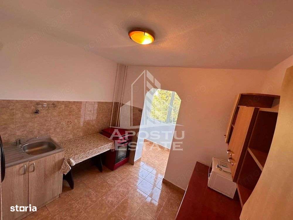 Apartament 2 camere de vanzare, zona Lipovei, Timisoara-4