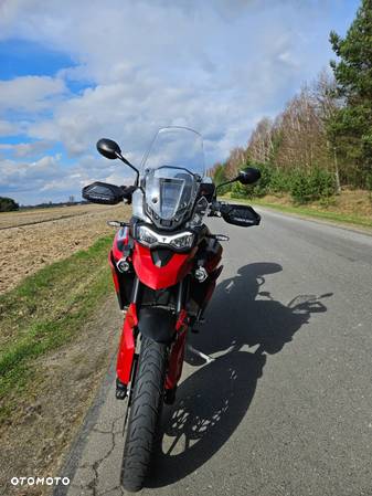 Triumph Tiger - 5