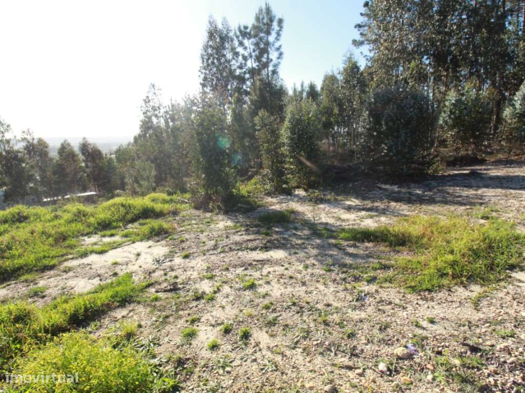 Lote de terreno com projeto aprovado - Grande imagem: 3/14