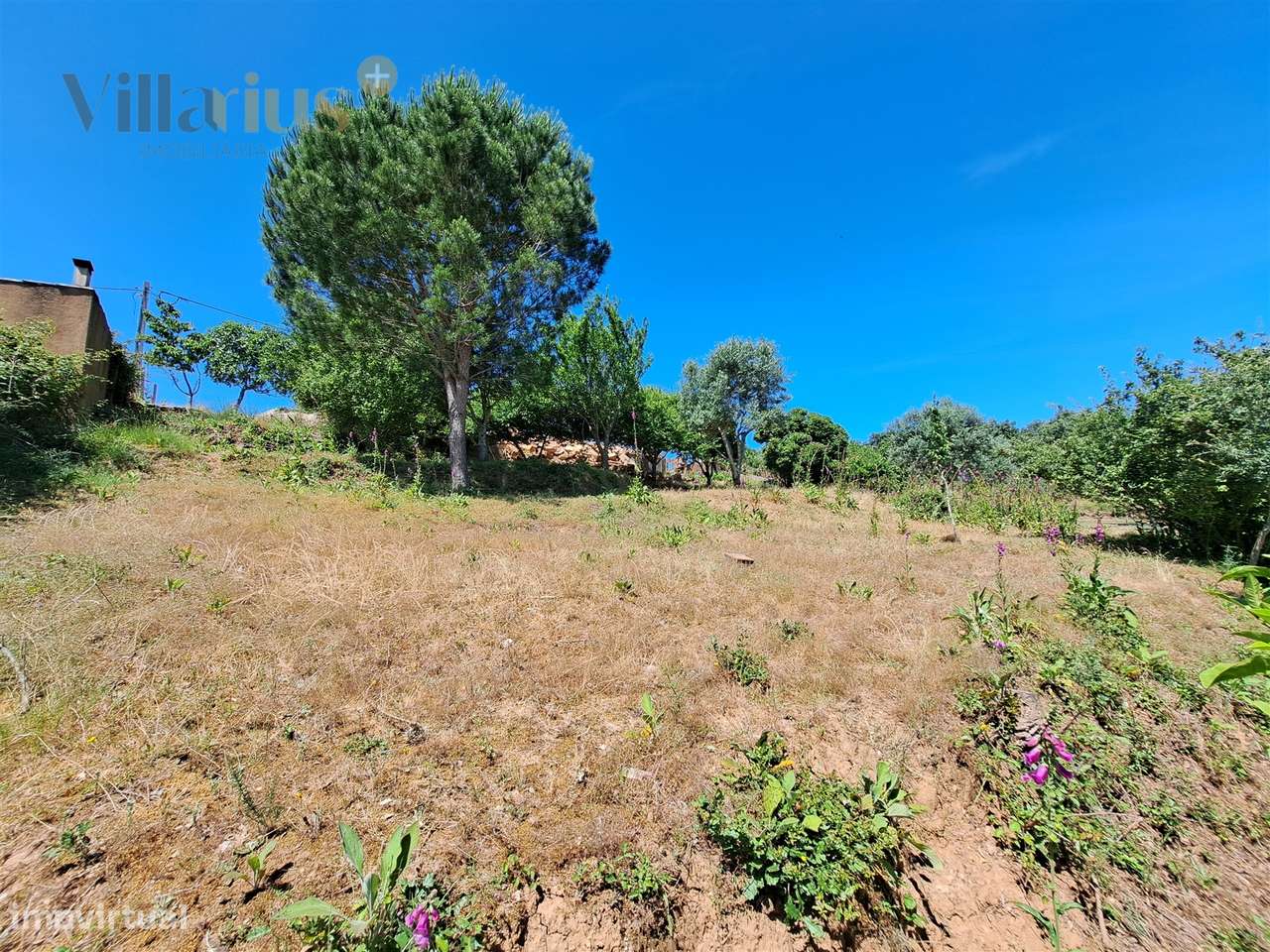 Terreno Urbano com Vista e Acesso Rápido a Tomar | Villarius Imobiliár-16