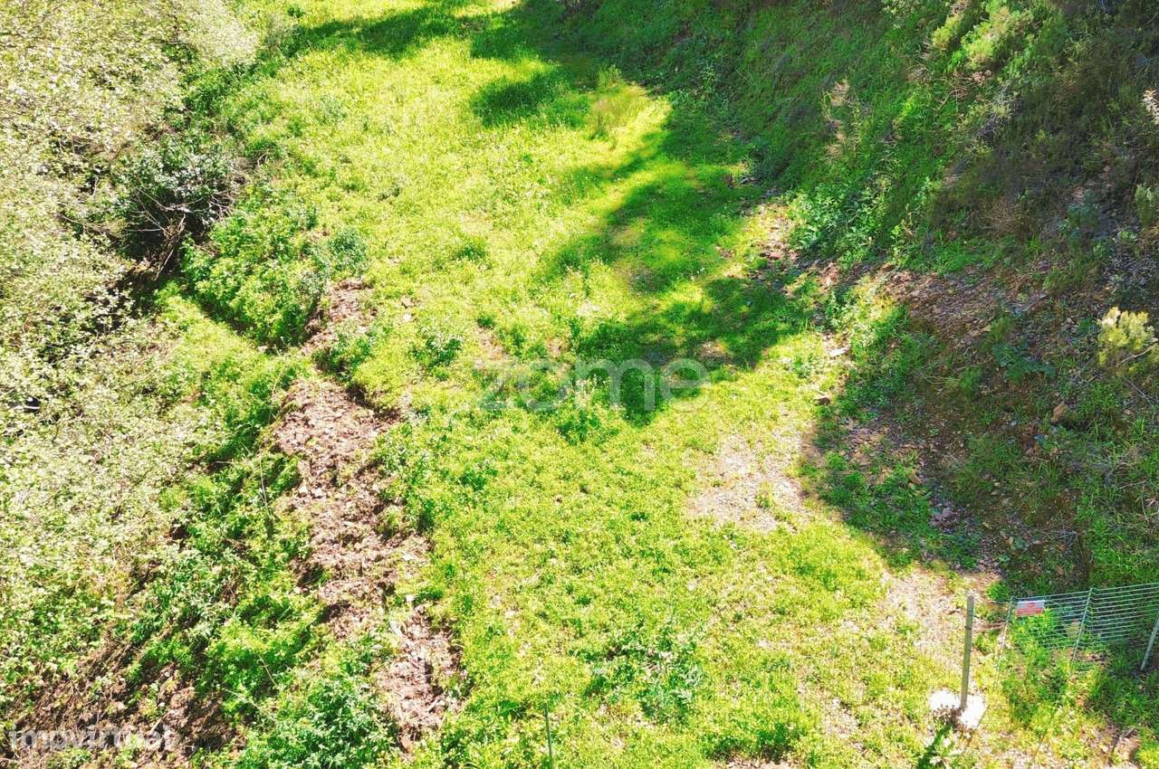 Terreno Rústico com 2000m2 - Monchique - Grande imagem: 4/33