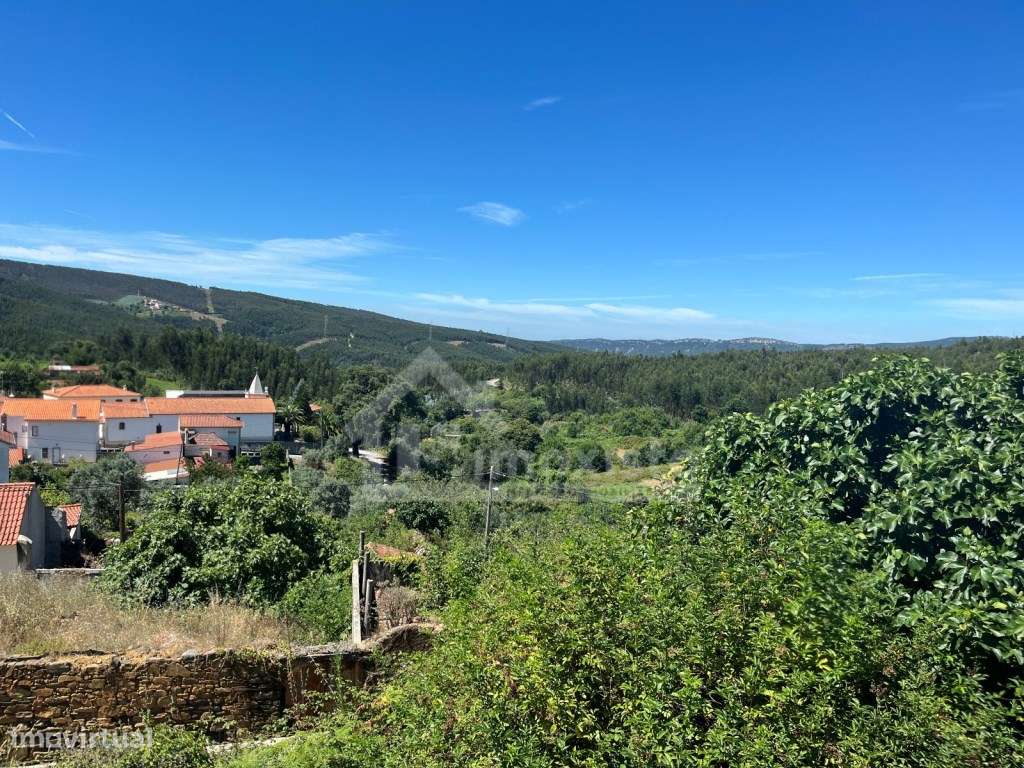 Moradias T4 e T0 em Figueiró dos Vinhos-37