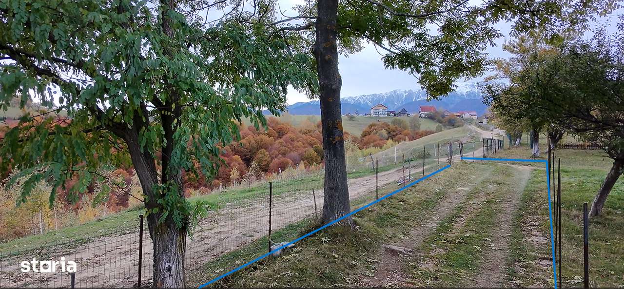 Teren, 3 456 m², -5