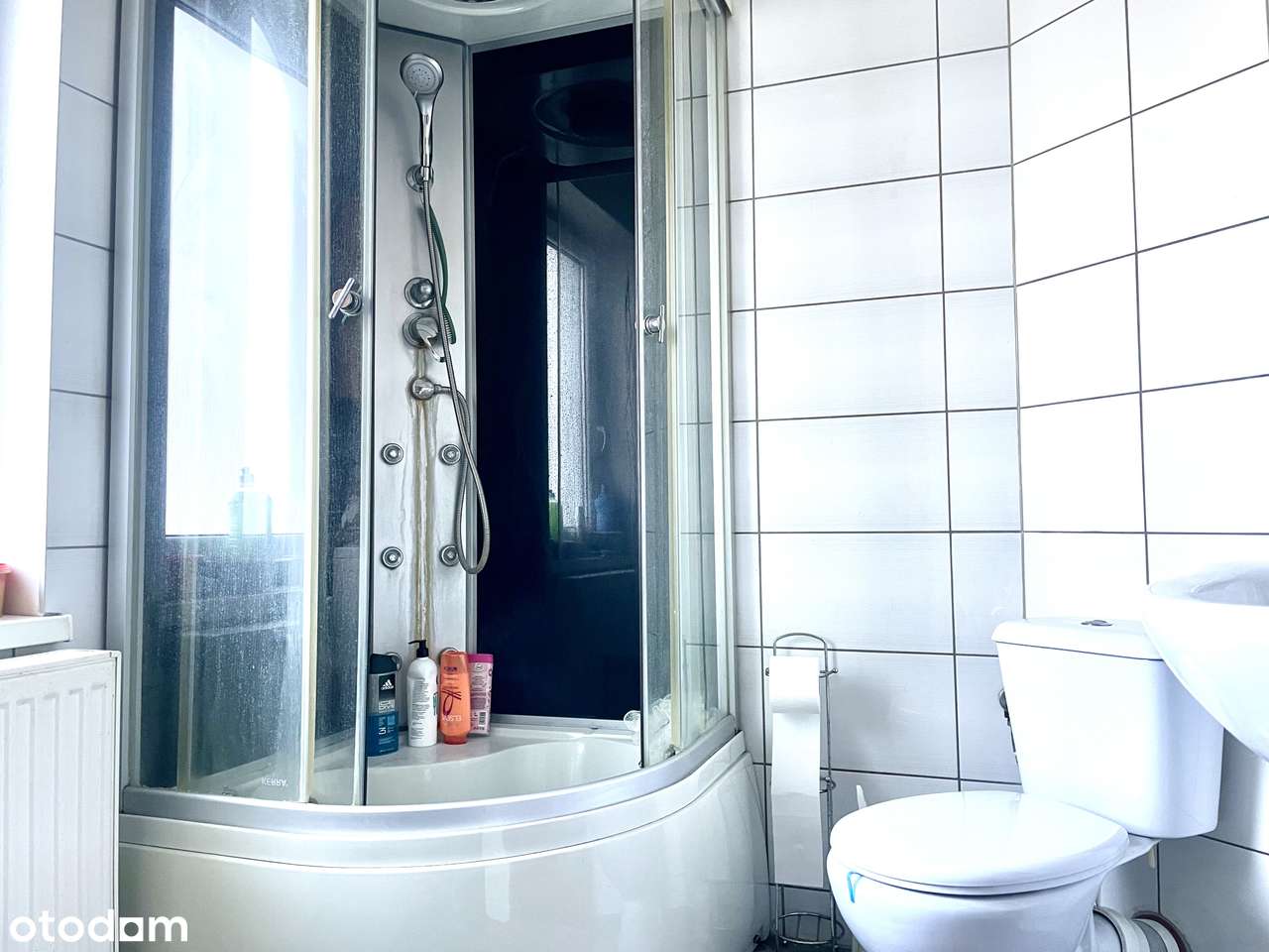 WIEJSKI DOM DO WŁASNEJ ARANŻACJI – ROKITNICA, GM. SKĄPE-8