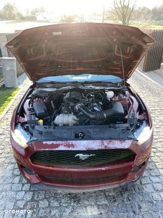 Ford Mustang 3.7 V6 - 24