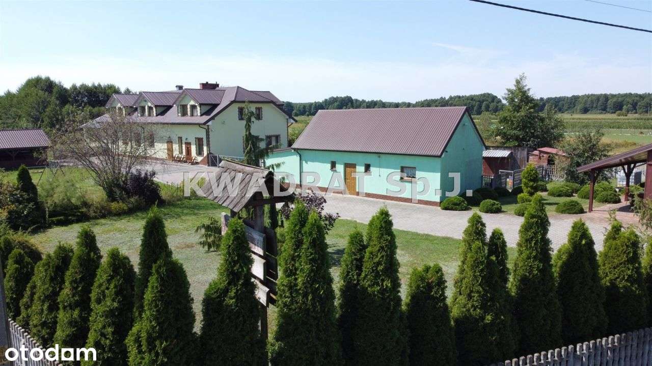 Agroturystyka w Dąbiu!!!!! - Pełny obrazek: 5/20