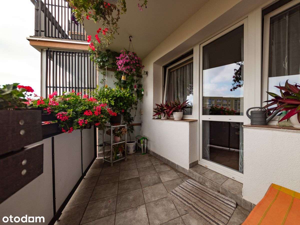 ⭐️ Balkon | Cisza | 3 pokoje | Do remontu ⭐️-5