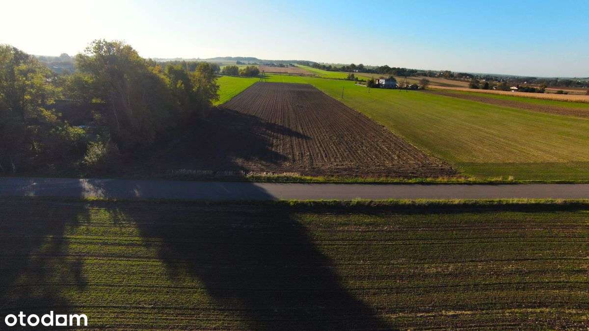 Działka budowlana | Wilkowiecko - Pełny obrazek: 5/6