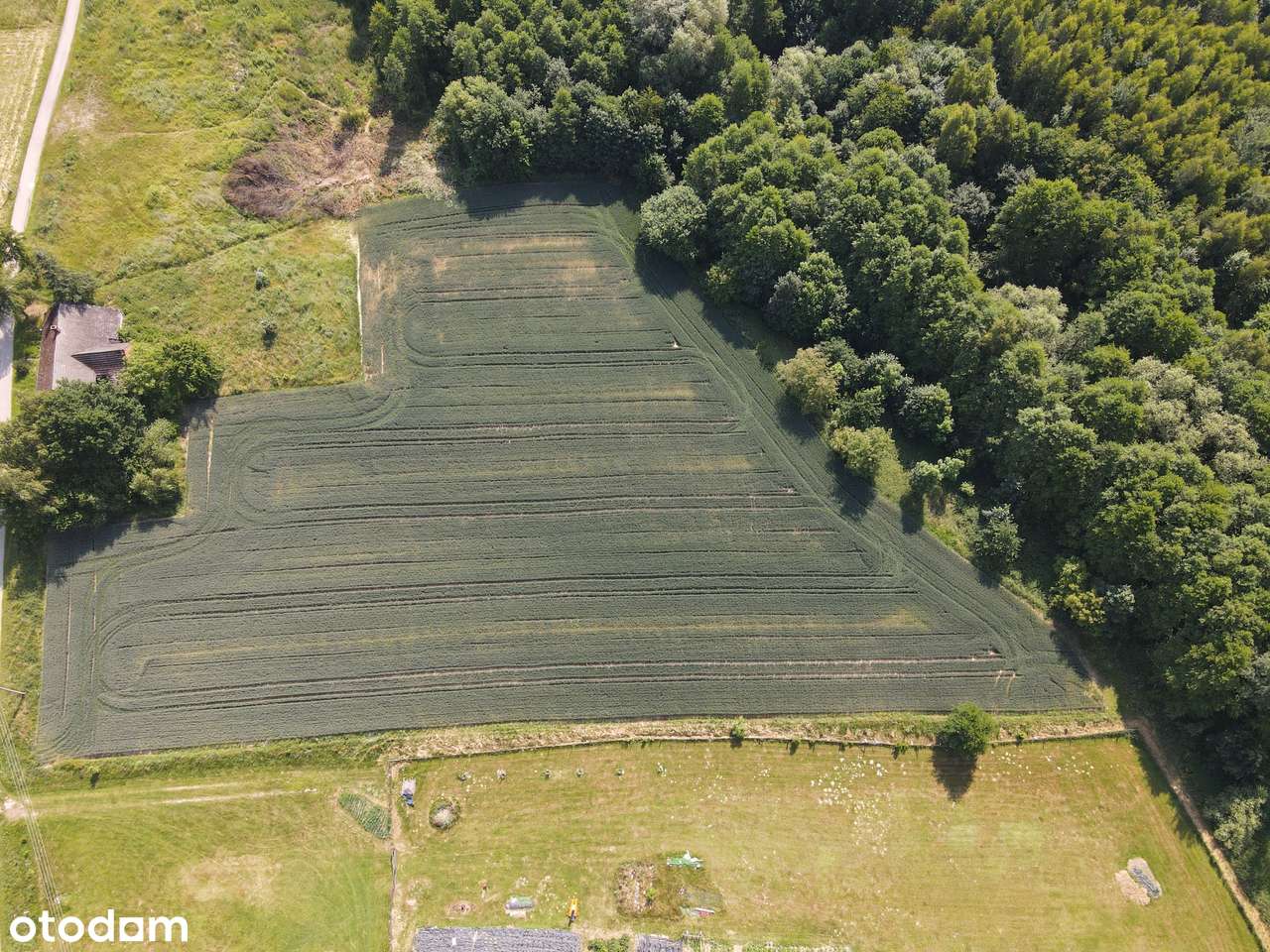 Sprzedam działkę budowlano - rolną 4724 w Czańcu. - Pełny obrazek: 5/16