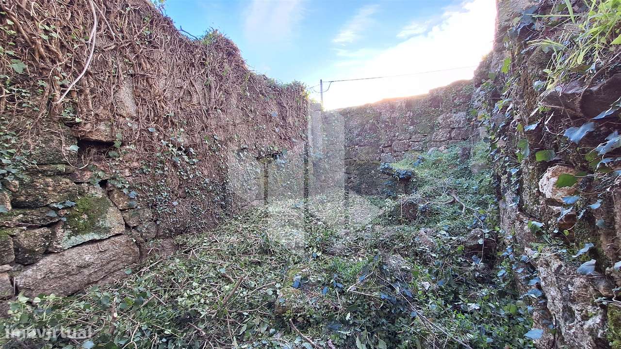 Moradia Devoluta T0 Venda em Mouraz e Vila Nova da Rainha,Tondela - Grande imagem: 5/8