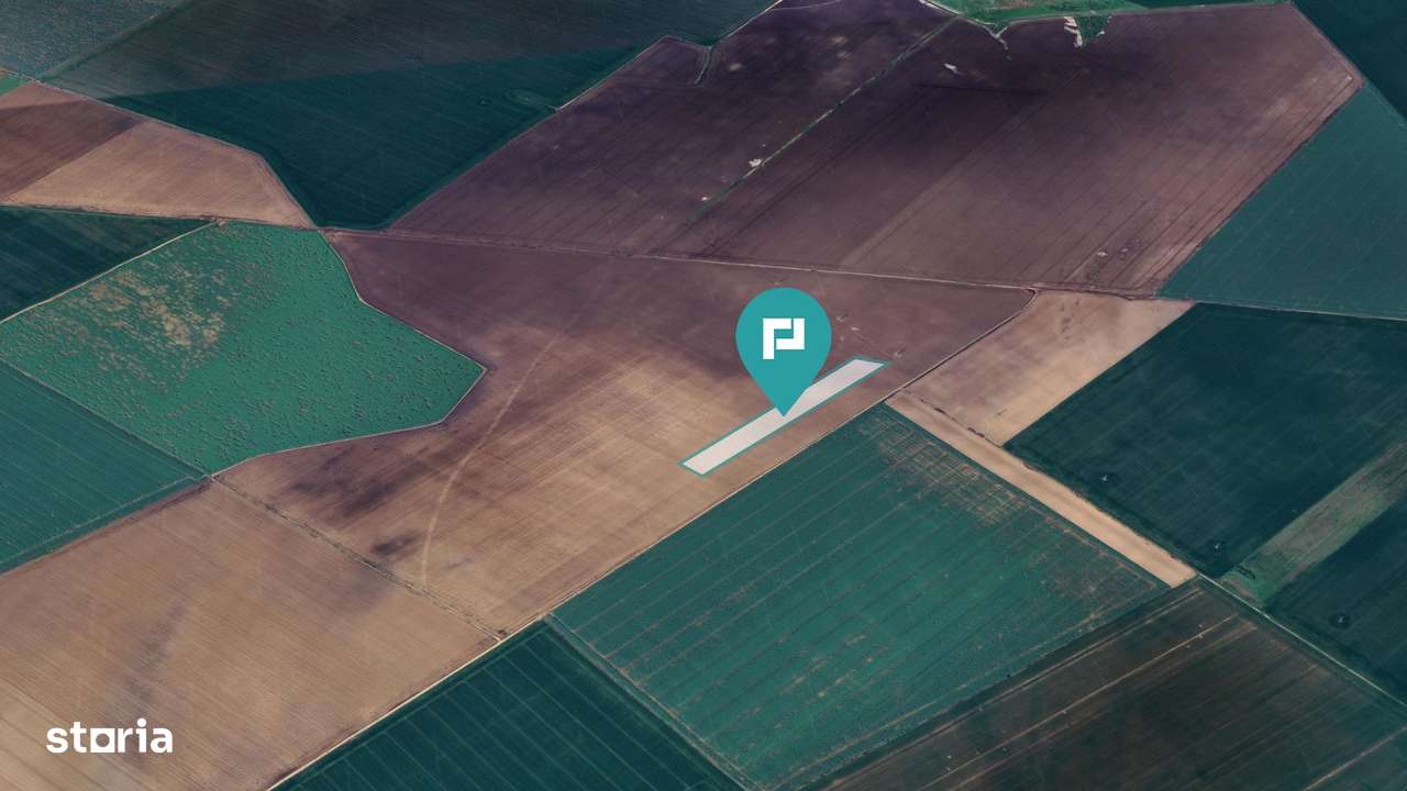 Teren 36.000 mp în Peciu Nou - Imagine principală: 4/4