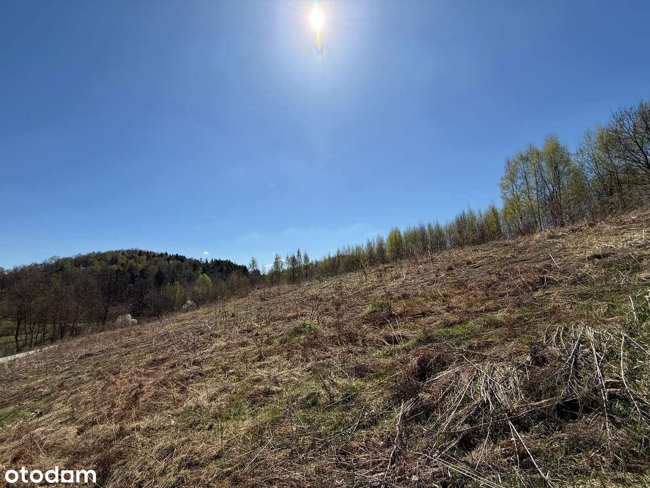 Jerzmanowice,działki budowlano-rolne 4237m2, ok.Jaskini Nietoperzowej-4