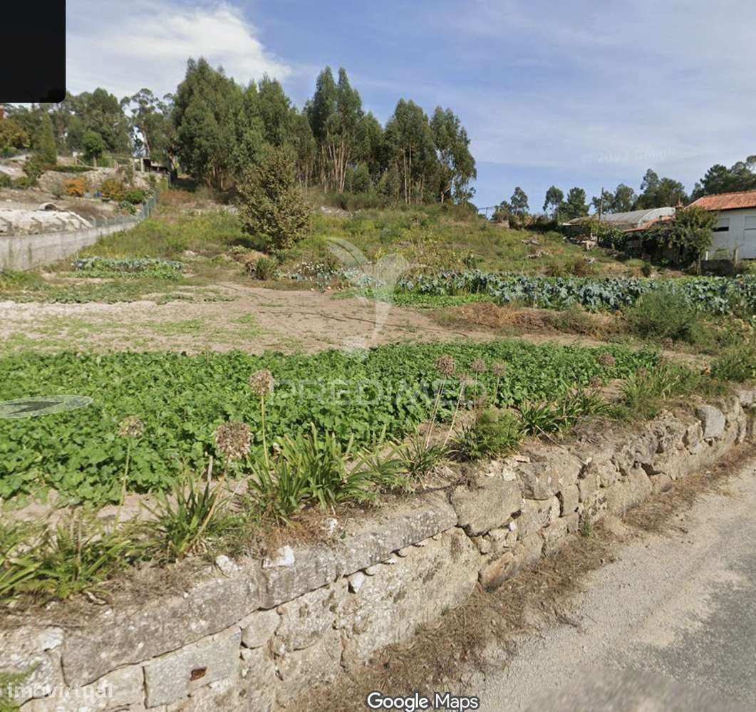 Terreno 5.000 m² com Potencial de Construção | Boim – Lousada - Grande imagem: 3/6