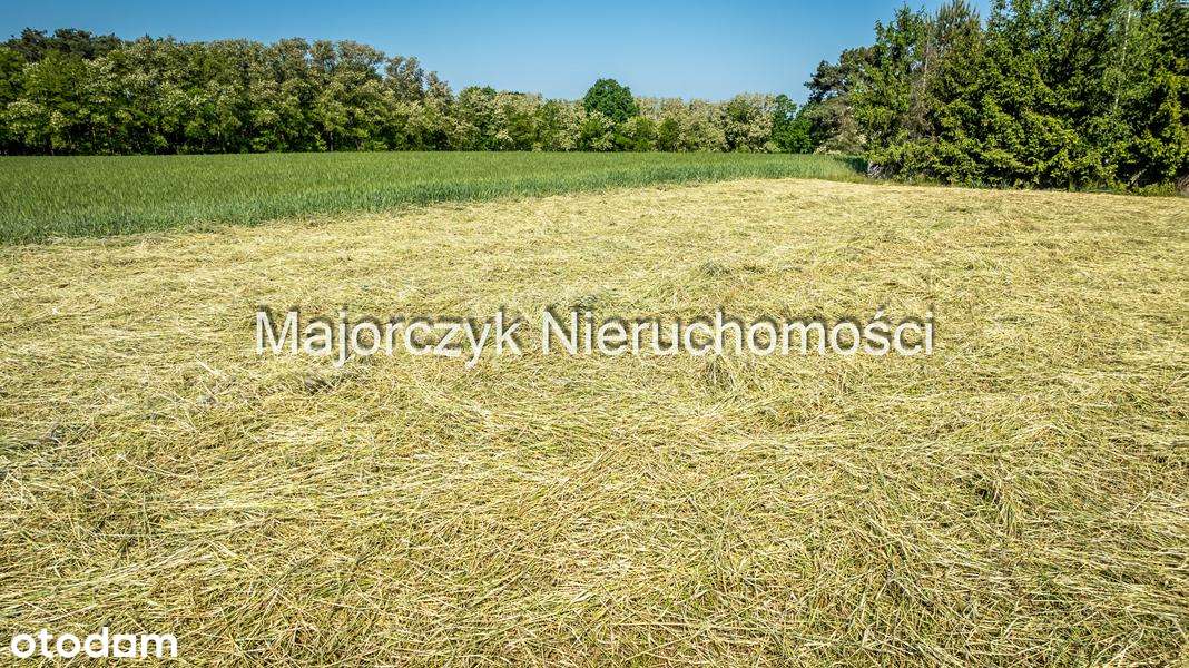 Działka budowlana w Ujazdowie, 650 m do centrum Boszkowa-Letniska - Pełny obrazek: 5/18