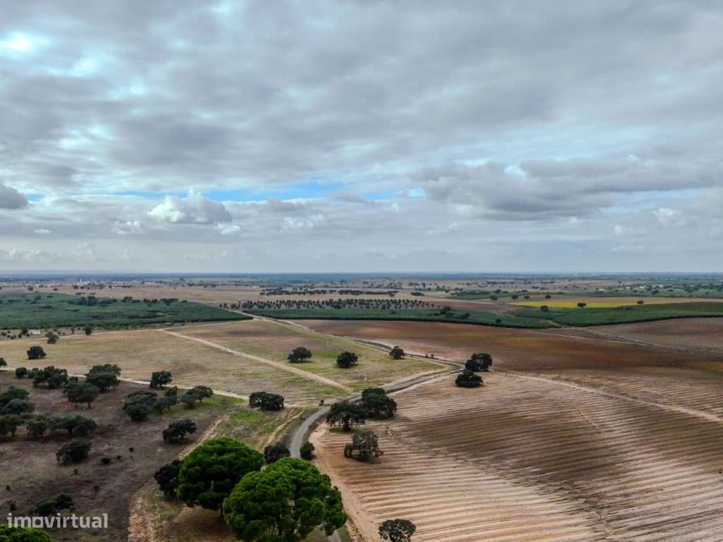 TERRENO DE 22,45 HA COM RUÍNA DE 240 M² PARA RECUPERAÇÃO EM FERREIR...-13
