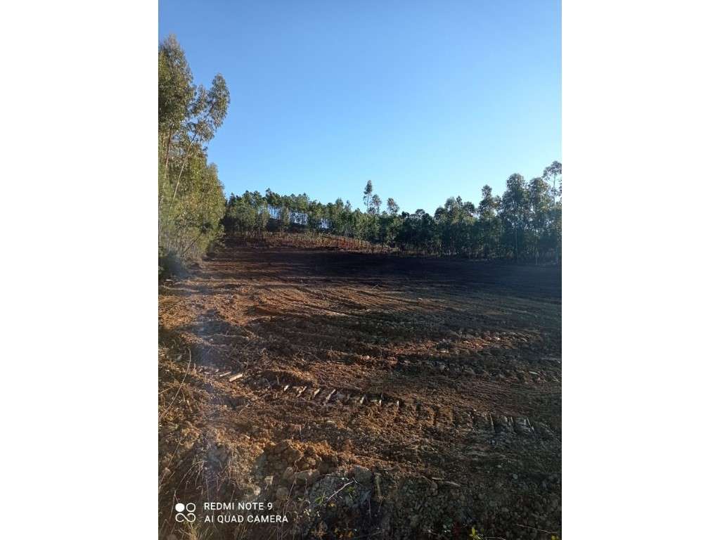 Terreno Rústico com 10.760 m² e Viabilidade de Construção de Moradi... - Grande imagem: 4/8