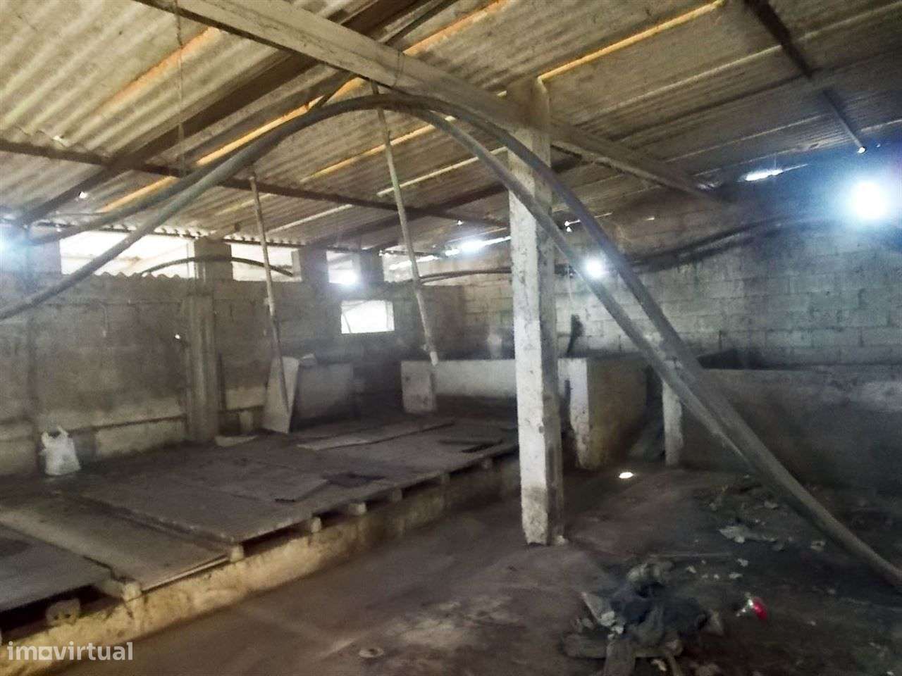 Terreno com Armazém e 2 Furos - Grande imagem: 5/8