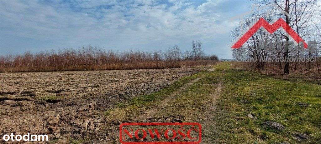 Działa inwestycyjna-6