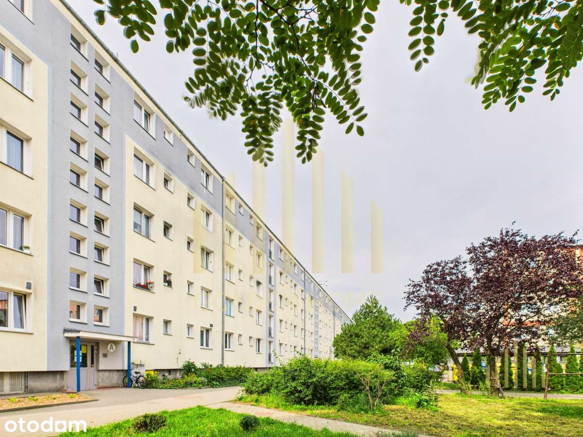 Zakup Bez Prowizji  przymorze Swpl Kawalerka Hit-1