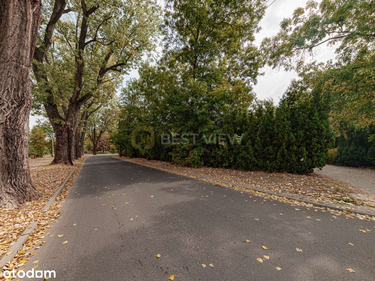 Dom wolnostojący | 500m2-10 pokoi | Włochy|-12