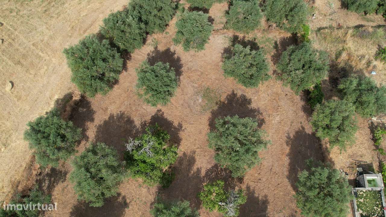 Terreno Para Construção  Venda em Santarém (Marvila), Santa Iria da Ri - Grande imagem: 3/14