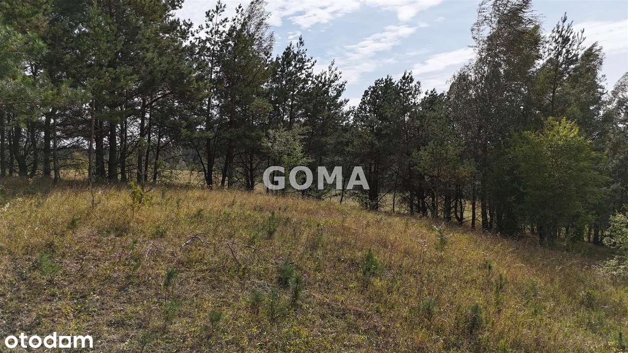 Działka budowl-rekreacyjna jez. Buwełno k/Orzysza-13