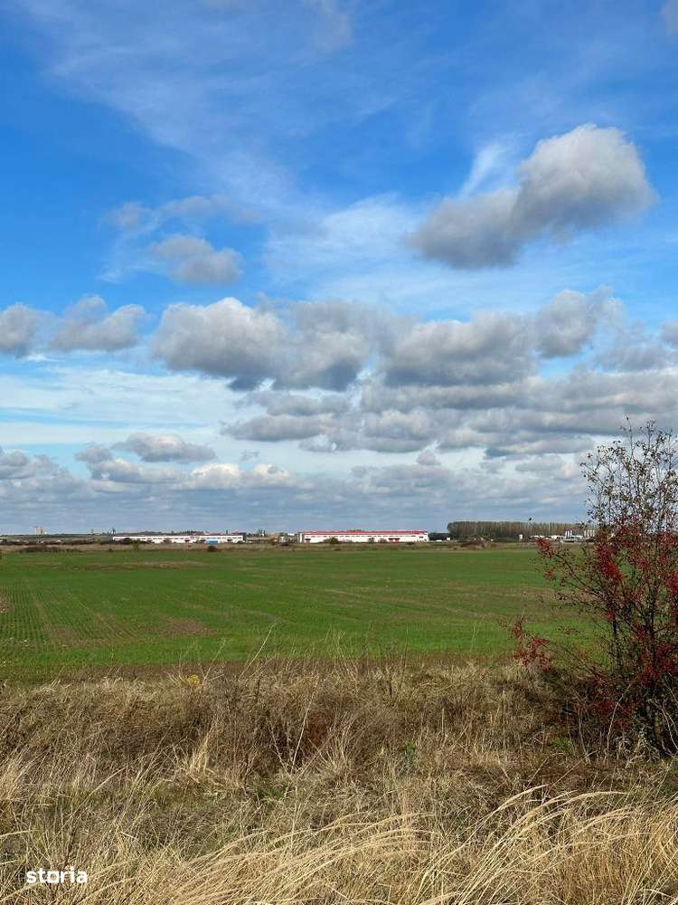 Teren industrial 40.000 mp – Sanandrei, Timiș, cu acces la DN69 și  A1-2