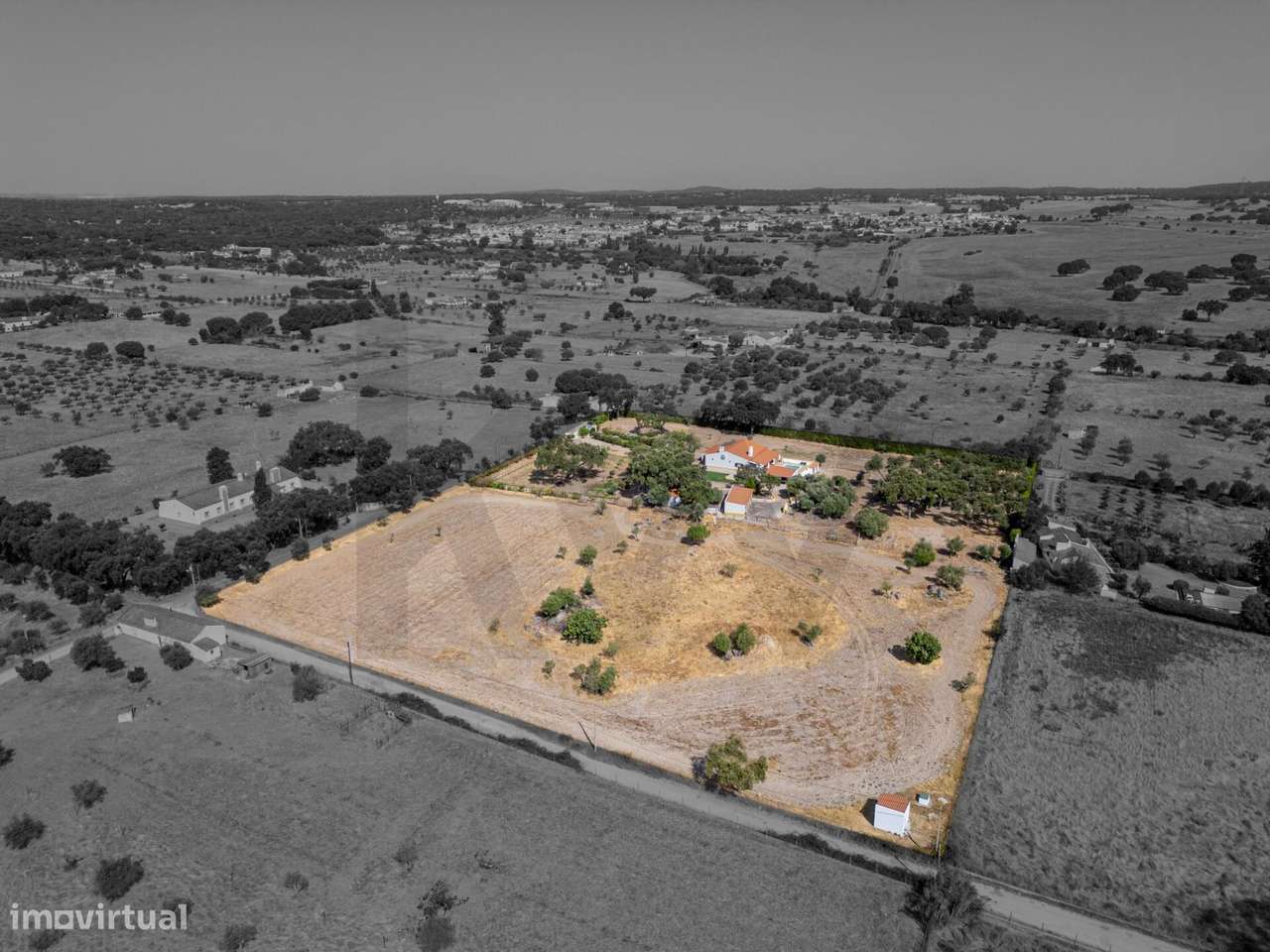 Quinta com piscina e cavalariças | Azaruja - Grande imagem: 3/32