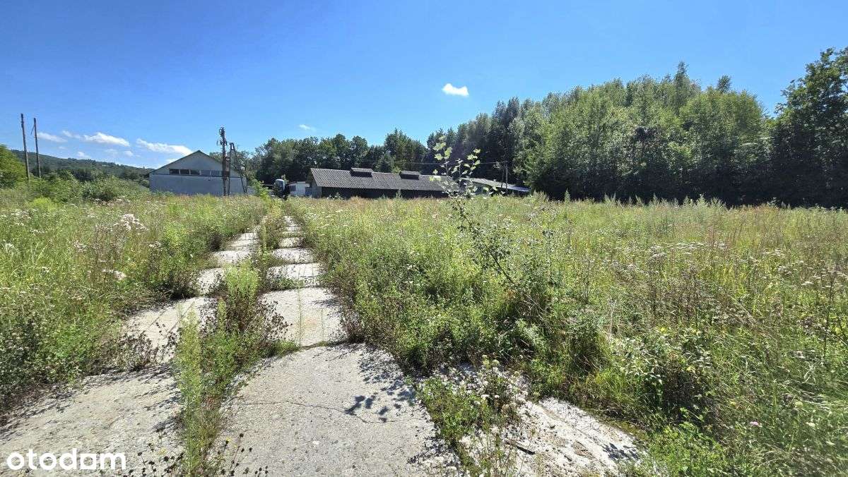 Na sprzedaż hale i budynki magazynowe - Pełny obrazek: 2/14