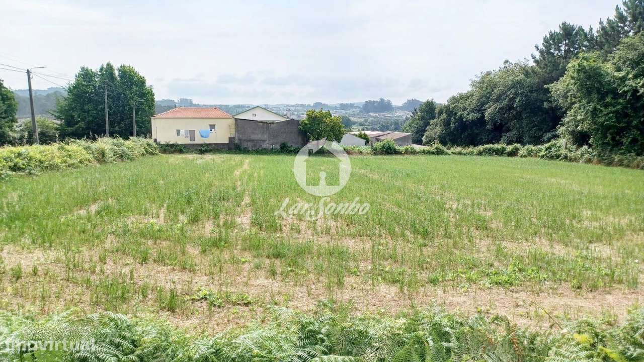 Terreno de 2.500m2 e 58m frente para construção de Moradias em S. P... - Grande imagem: 4/16