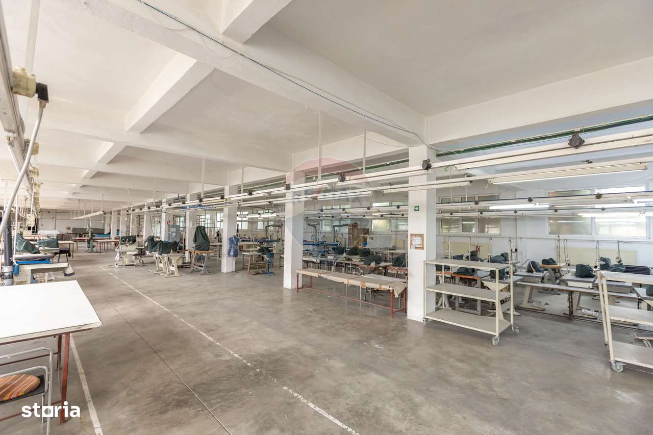 Clădire Administrativă și Hală Multifuncțională de Închiriat – Bacău - Imagine principală: 5/13