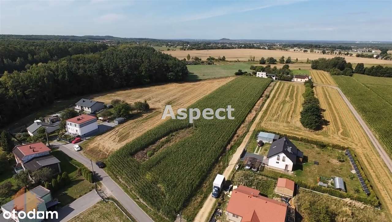działka budowlana w otoczeniu pól, Ornontowice - Pełny obrazek: 4/4