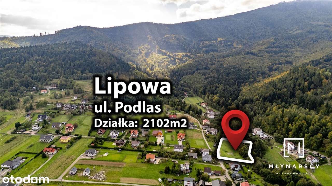 Widokowa działka budowlana z lasem | 21 a Lipowa-8