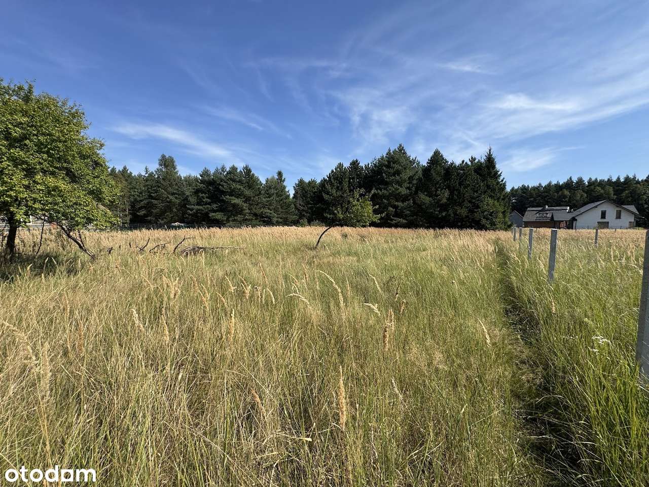 Wierzyce Osiedle Akacjowe - przy lesie-5