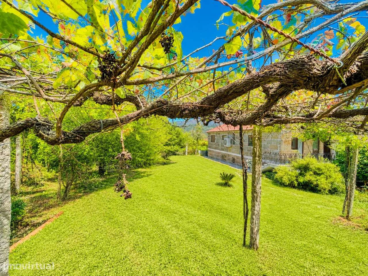 Quinta com Moradia T4 em Pedra, História e Natureza em Harmonia em Arc-32
