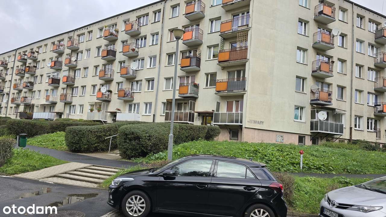 Osiedle Winiary Rogal 4-pokojowe - Pełny obrazek: 2/17