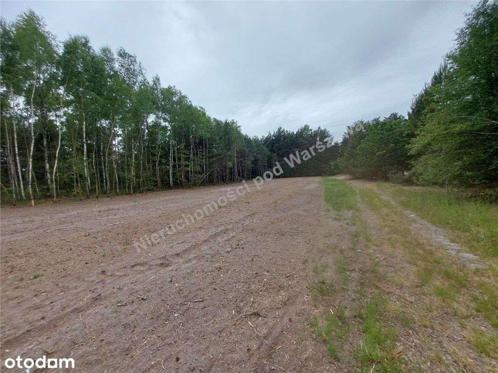 Działka W Rżyskach - Pełny obrazek: 5/18