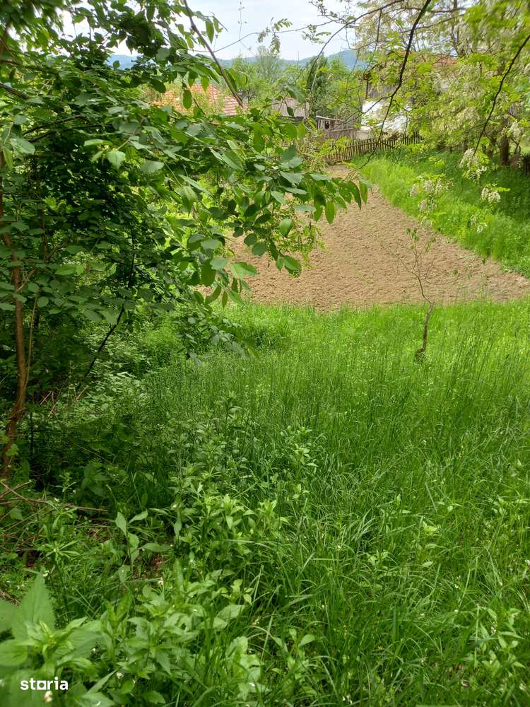 Teren de vanzare ideal casa de vacanta sat Blaju Comuna Tigveni - Imagine principală: 3/5