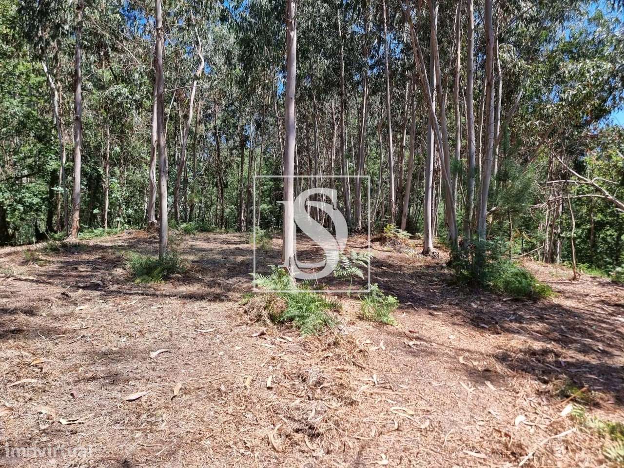 Terreno com Capacidade de Construção-8