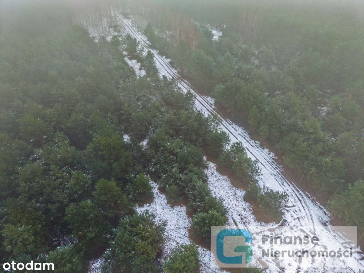 Działki budowlane po 1500 m² – Dąbrówka-10