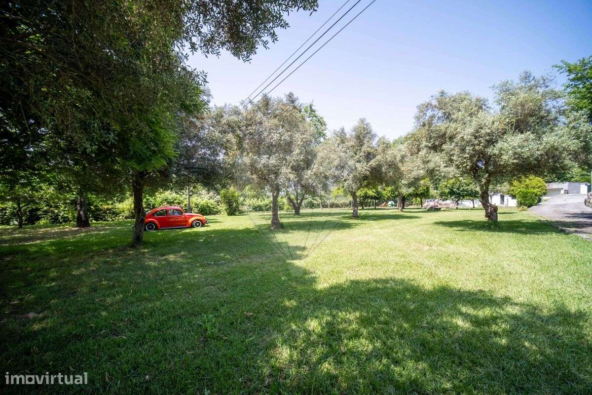 Quinta T8 para venda - Grande imagem: 4/22