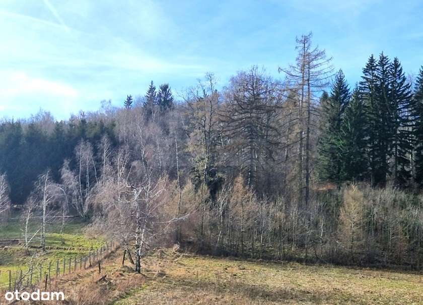 Duża działka budowlano-inwestycyjna/Góry Sowie!-4