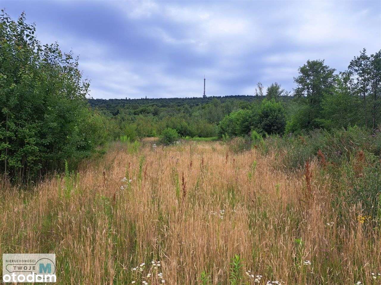 Dzialka - tylko 30min szlakiem na Święty Krzyż! - Pełny obrazek: 3/6