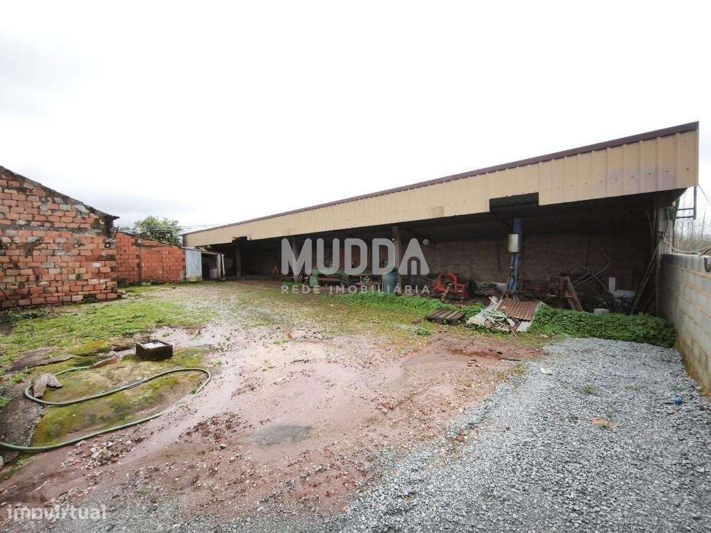 Terreno rústico com excelente potencial construtivo em Frossos – Alber - Grande imagem: 4/6